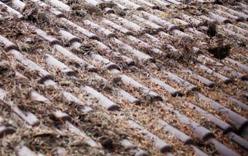 Rushmere Street roof cleaning companies